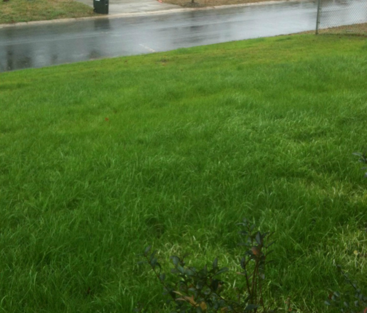 House packed and loaded into truck