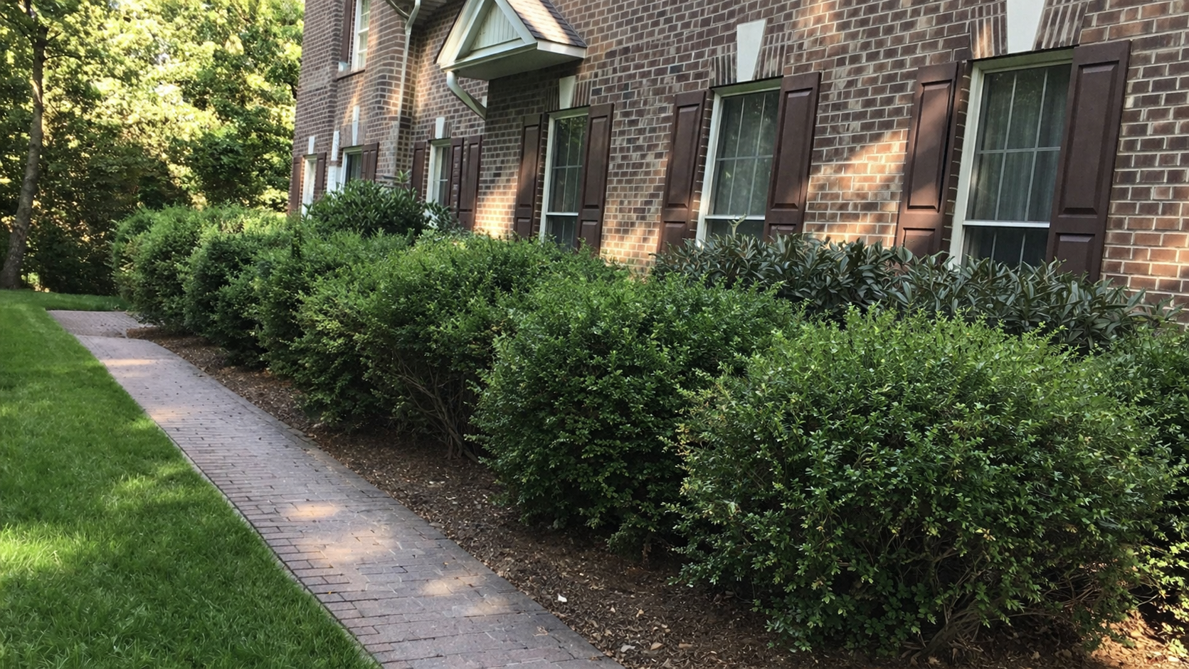 Fragile items unprotected before packing