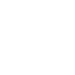 Packing services icon